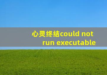 心灵终结could not run executable